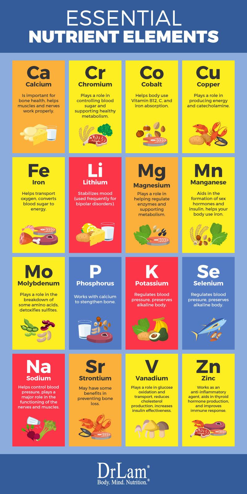 Key Nutritional Elements for Effective Weight Loss