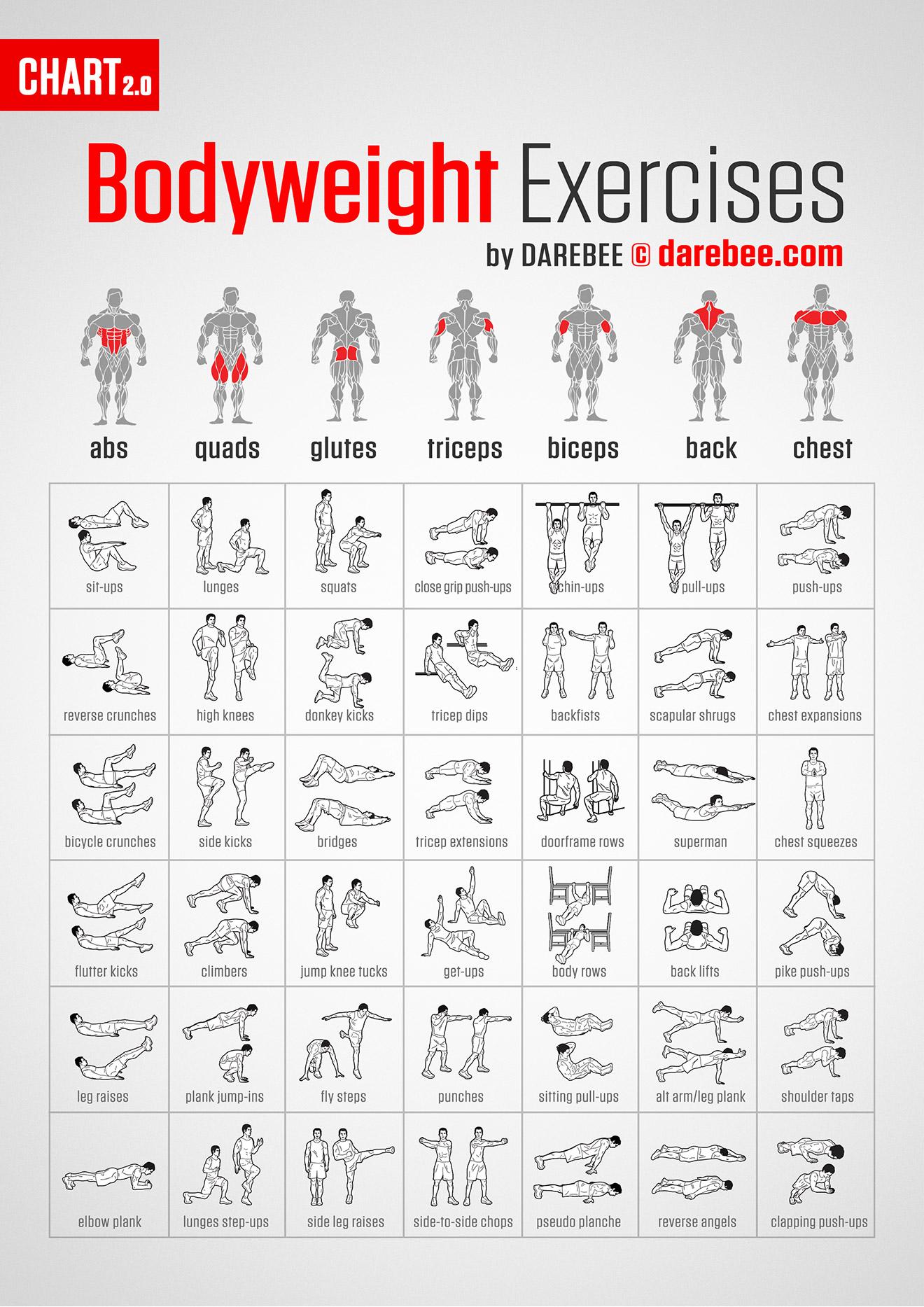 Top Bodyweight Exercises for Strength and Endurance