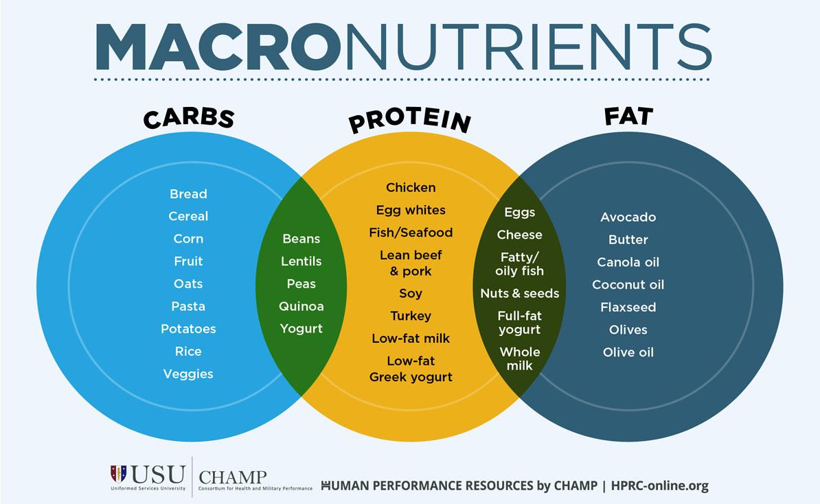 Essential Macronutrients: Finding the Right Balance ‍for Effective Weight Loss