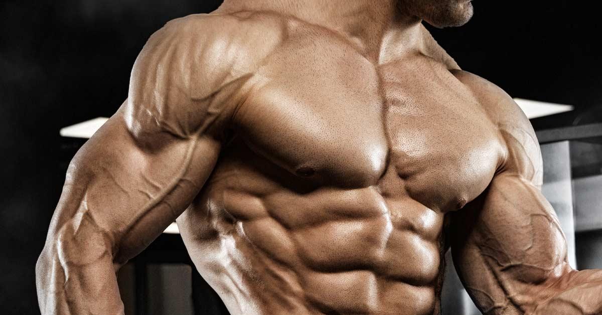 Understanding Muscle Growth: The ​Science Behind Home Workouts