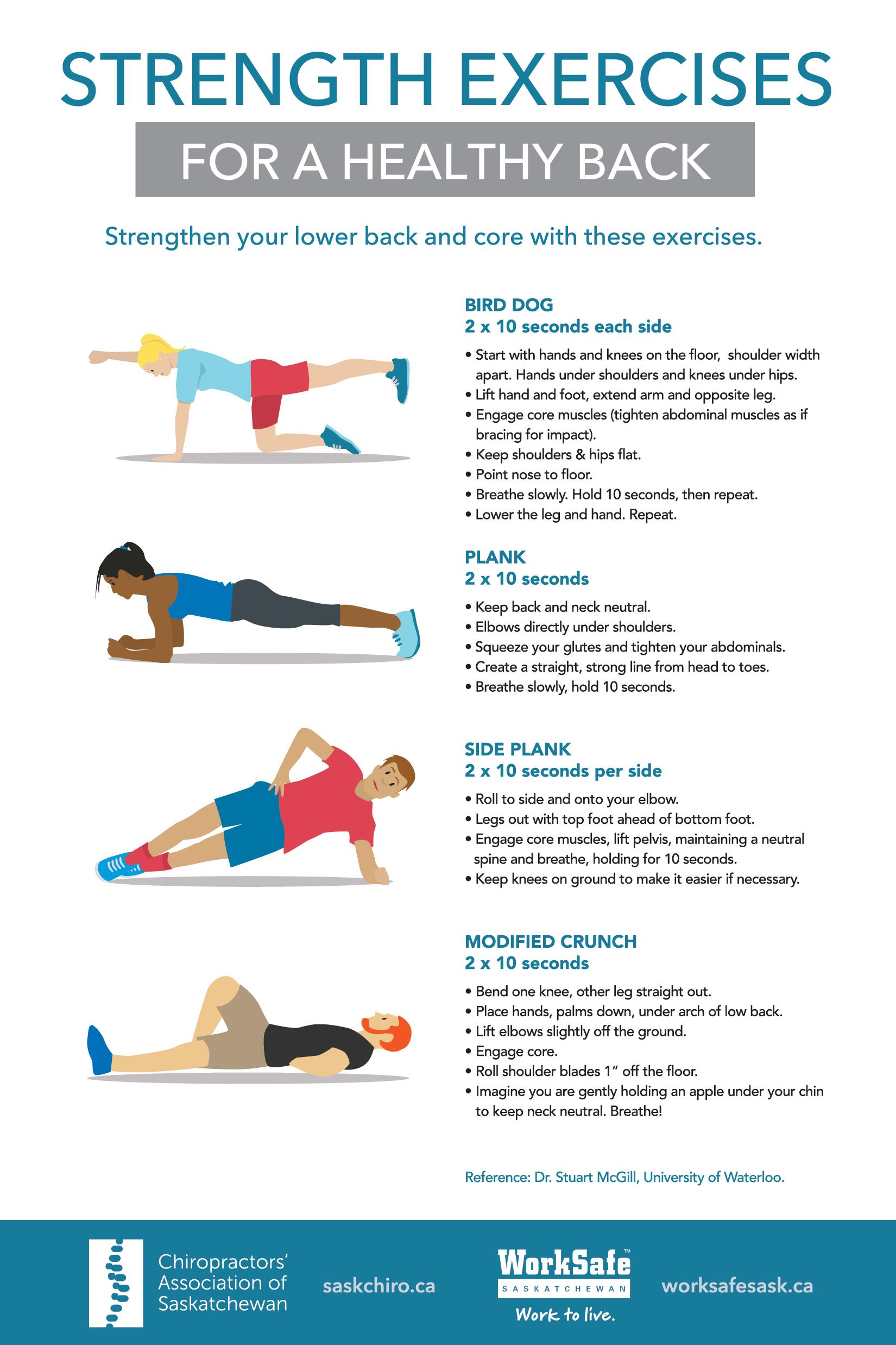 Understanding the Basics of ‍Core Strength and ⁣Abdominal Muscles