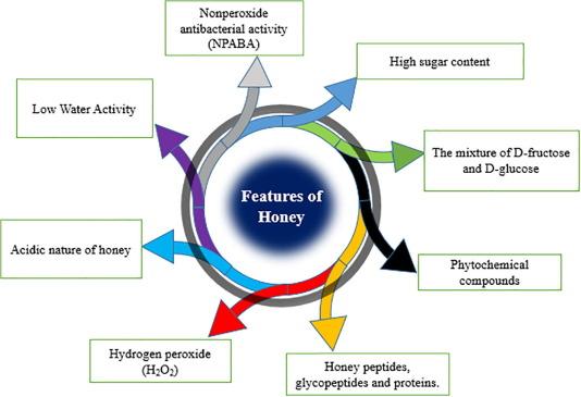 8) Honey as an Antibiotic: Although honey has some antimicrobial properties, relying solely on it for infections can prevent necessary medical treatment