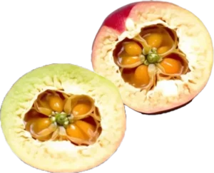 Camu-Camu-Superfruit