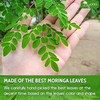 2) Moringa: Known as the miracle tree, moringa leaves are nutrient-dense and can improve blood sugar levels, adding an earthy flavor to smoothies and salads