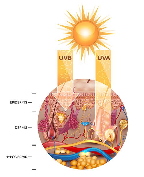 9) Using Coconut Oil as a Sunscreen: While moisturizing, it doesn’t provide adequate sun protection, leaving you vulnerable to harmful UV rays