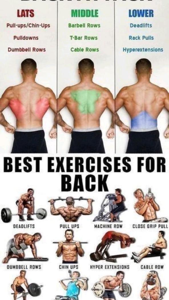 Effective Back Workouts for Strength