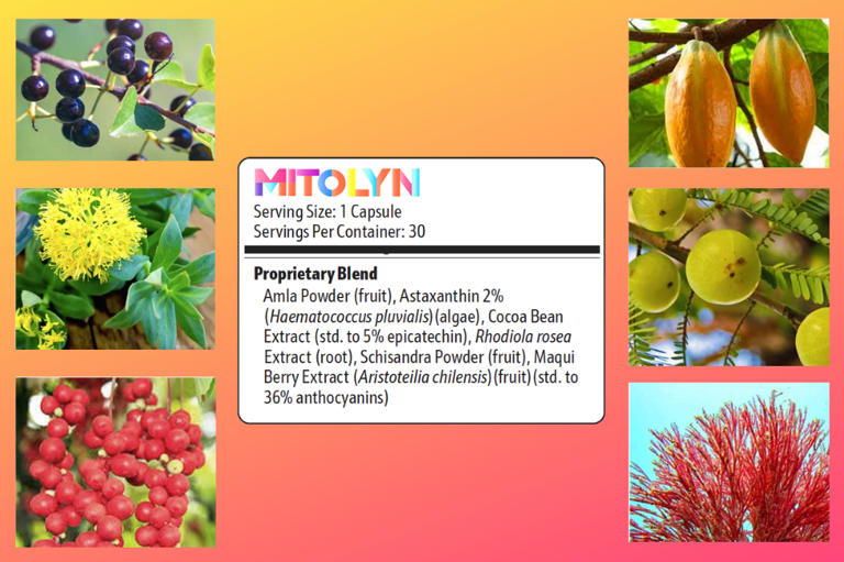 Mitolyn Ingredients Review