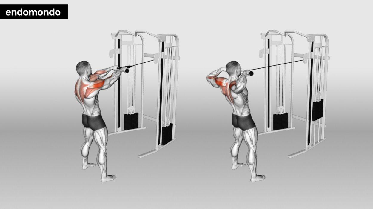 Shoulder Workout​ Fundamentals